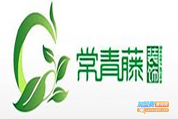 长青藤教育