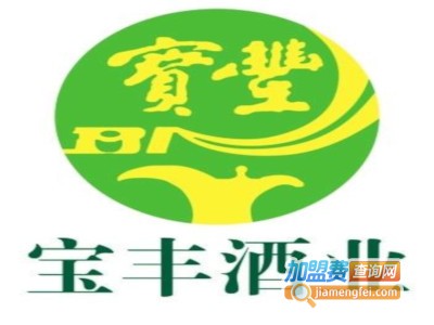 宝丰酒业加盟电话
