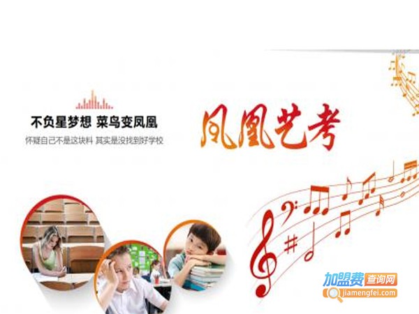凤凰艺考加盟费