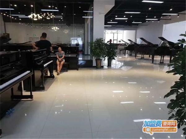 小雨点凯笙琴行加盟门店