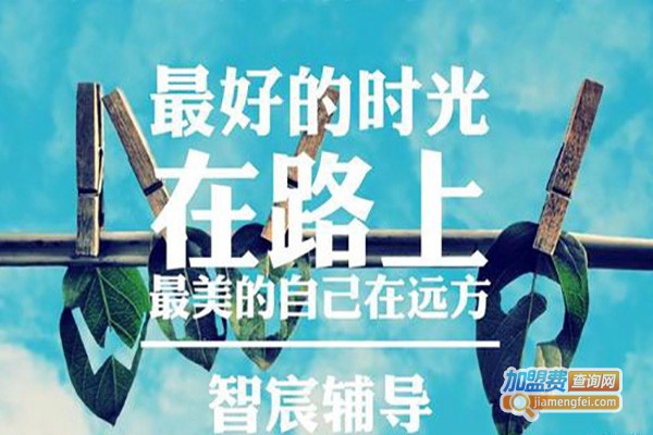 智宸教育加盟费