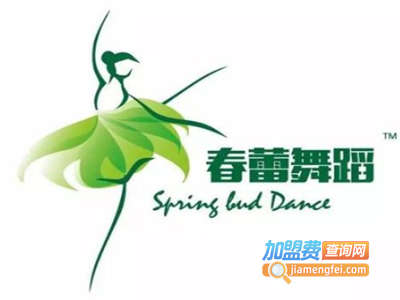 春蕾舞蹈培训中心加盟费