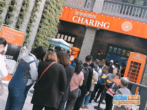 茶苓街西区加盟费