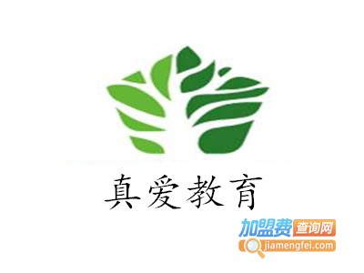 真爱教育加盟费