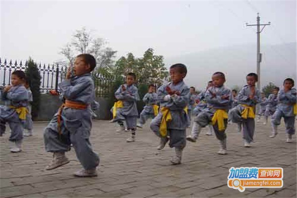 少林武术培训加盟费
