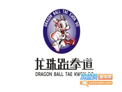 龙珠跆拳道加盟费