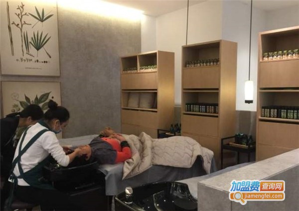 麸源茶麸养发堂加盟费