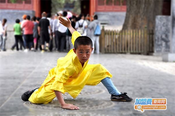 少林武术培训加盟费