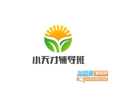 小天才辅导班加盟费