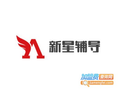 新星辅导加盟费