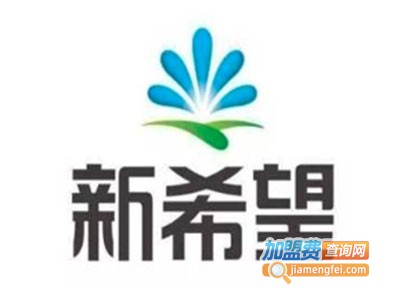 新希望美术教育加盟费