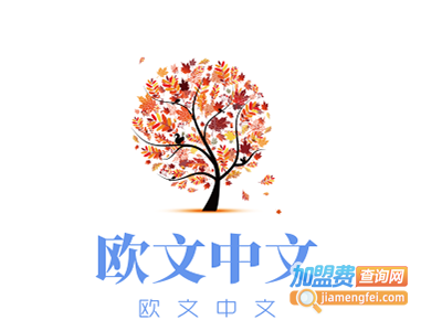 欧文中文加盟费