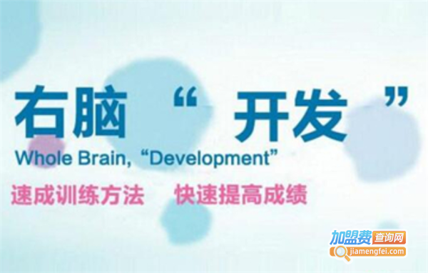 右脑小神童加盟费