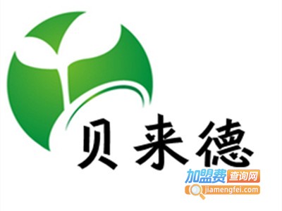 贝来德早教加盟费