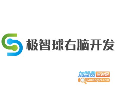 极智球右脑开发加盟电话