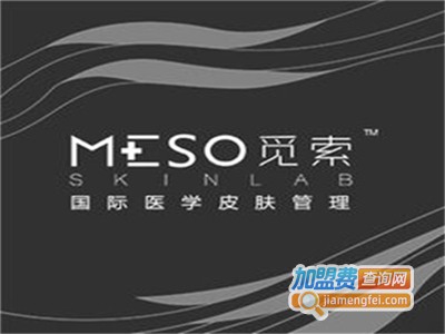 meso skinlab觅索皮肤管理加盟费