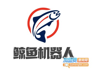 鲸鱼机器人加盟费