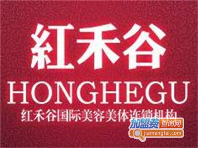 红禾谷美容美体加盟费
