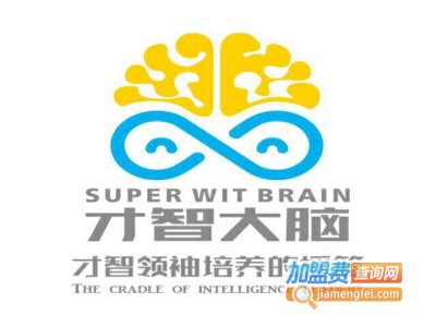 才智大脑素质教育加盟费