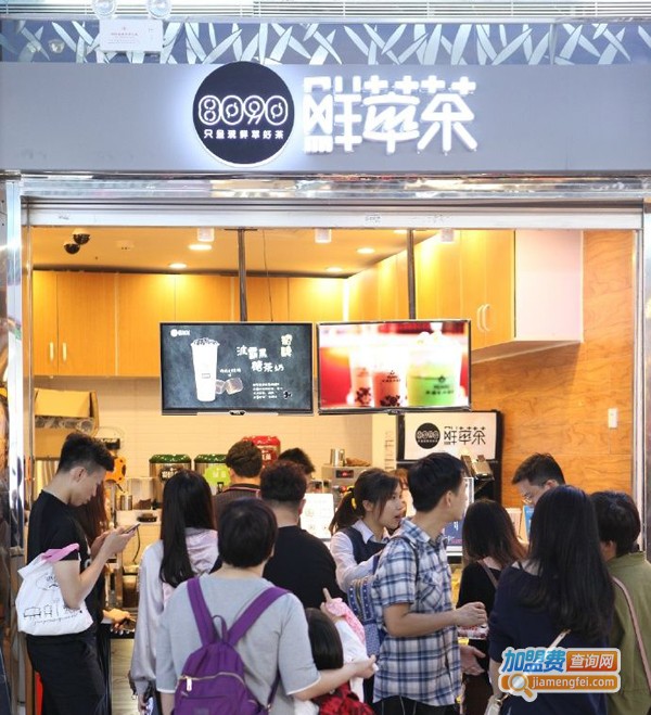 8090鲜萃茶加盟费