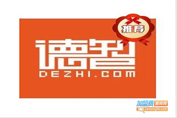 德智互联网教育加盟费