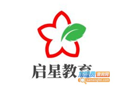 启星教育加盟费
