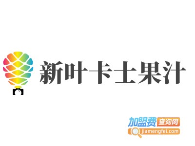 新叶卡士果汁加盟费