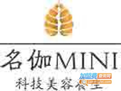 名伽MINI美容加盟费