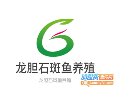 龙胆石斑鱼养殖加盟电话