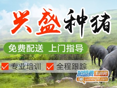 兴盛种猪养殖加盟费