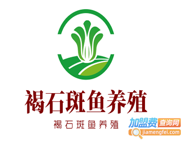 褐石斑鱼养殖加盟电话