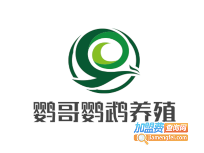 鹦哥鹦鹉养殖加盟费