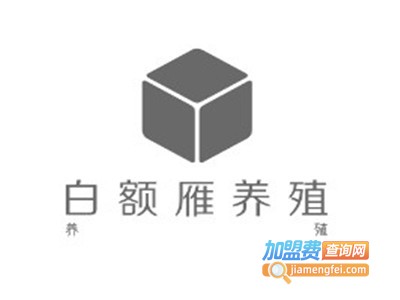 白额雁养殖加盟费