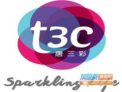 T3C皮肤管理加盟费