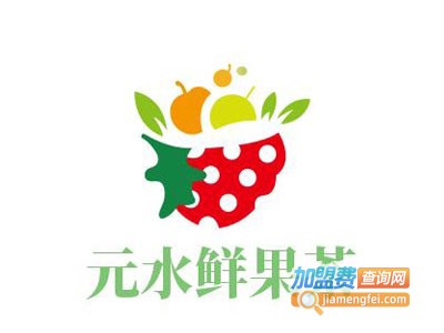 元水鲜果茶加盟电话