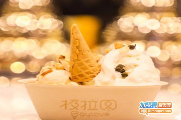 极拉图·冰淇淋&茶加盟费
