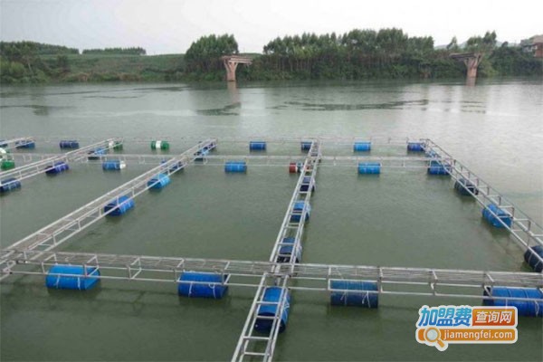 永和9号水产养殖加盟费