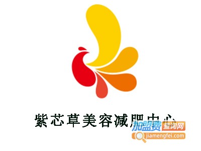紫芯草美容减肥中心加盟费