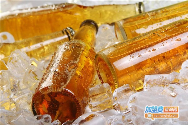 德堡艾尔精酿啤酒加盟费