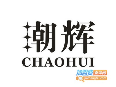 潮辉干洗加盟电话