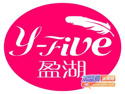 Y-5盈湖童装加盟费