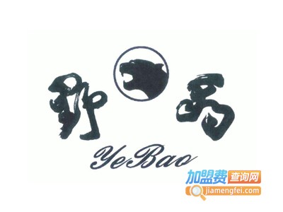 野豹童装加盟费