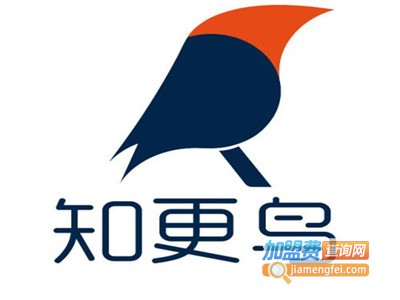 知更鸟国际少儿英语加盟费
