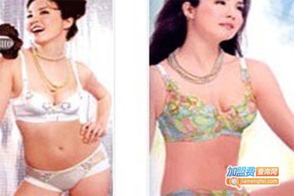 新丽美品牌内衣加盟费