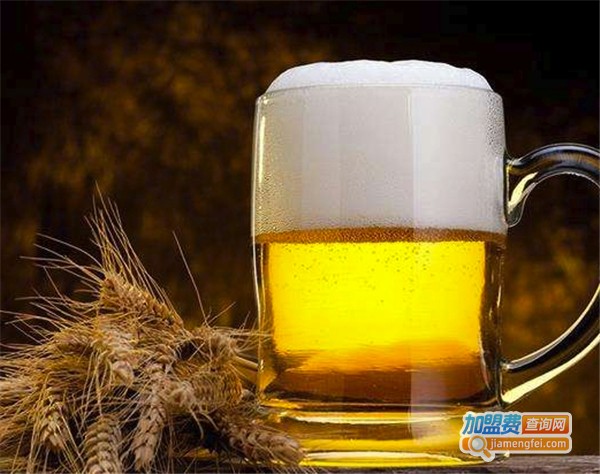 蓝大冰迪啤酒加盟费