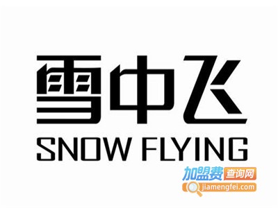 雪中飞加盟