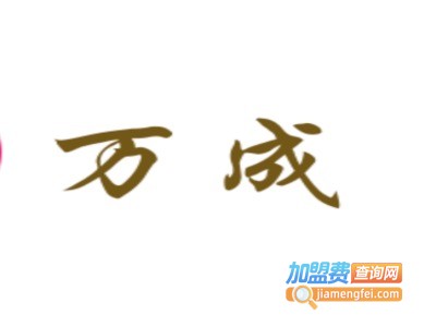 万成洗砂加盟费