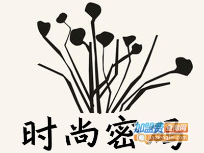 时尚密码女装加盟