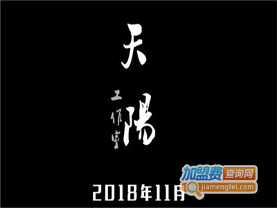 天阳艺术工作室加盟费