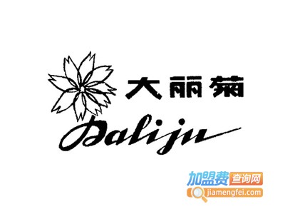 大丽菊女装加盟费